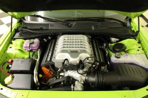 11313161_946481778706530_2760889513722498587_o